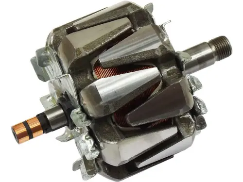 Rotor, alternator