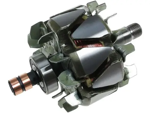 Rotor, alternator