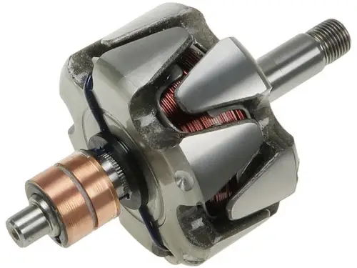 Rotor, alternator