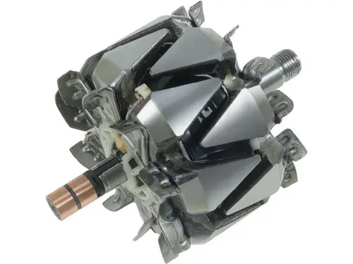 Rotor, alternator