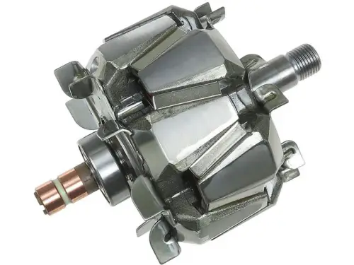 Rotor, alternator