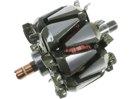 Rotor, alternator
