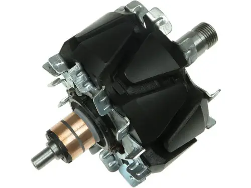 Rotor, alternator