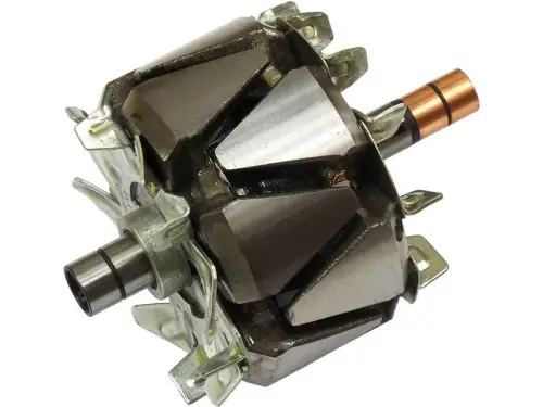 Rotor, alternator