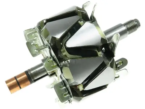 Rotor, alternator